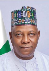 Independence Anniversary: Nigerians sacrifices won’t be in vain –Shettima