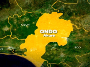 Labourer beheads farmer in Ondo, blames hard drug
