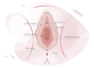 Ways to ensure healthy vagina