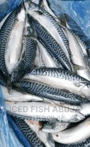 Fish price hikes in Nigeria tends to it's scarcity, citizens lament