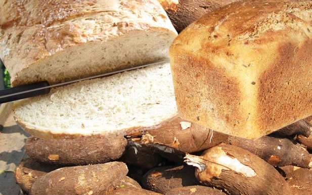 20% of cassava flour inclusion in bread can save Nigeria N1 trillion annually –NCGA ex-President