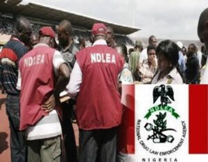 NDLEA seizes 6,668 tonnes of drugs, arrests over 36,096 suspects in two years