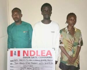 NDLEA Raids Illicit Drug Party In Osun, Arrests Organisers
