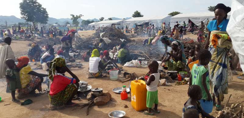 FG to evacuate Nigerian refugees from Cameroon, Chad, Niger Republic — Minister