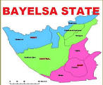 Bayelsa:  Party supporter killed at collation centre