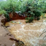 47 dead, 85 injured in Tanzania landslides