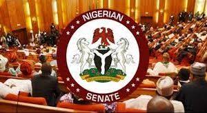 Senate approves compulsory certification of citizens following meeting with service chiefs