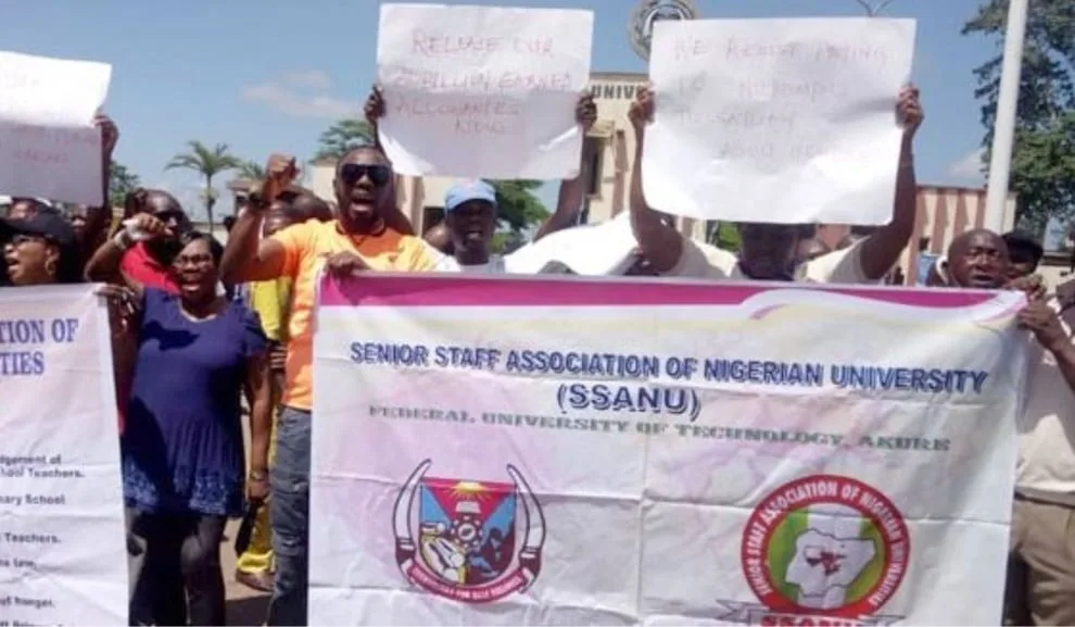 BREAKING: SSANU, NASU declare seven-day warning strike